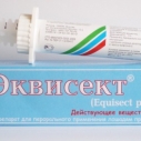 Паста эквисект шприц
