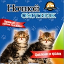 Ночной охотник пауч д/котят...