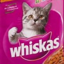 Вискас 85г д/котят телятина/желе 6584