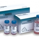 Нобивак Rabies (10)