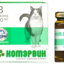 Кот Эрвин 3фл х 10мл