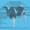 Комбикорм КК-62 стартер (д/телят до 6...