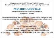 Ракушка морская фасов. 1кг (25)